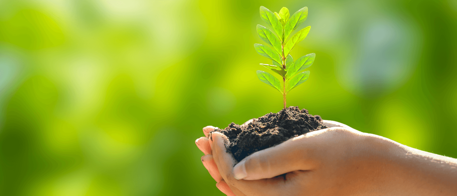 Ecologie