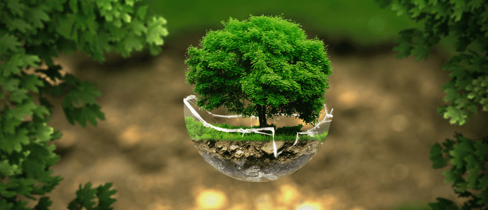 Ecologie