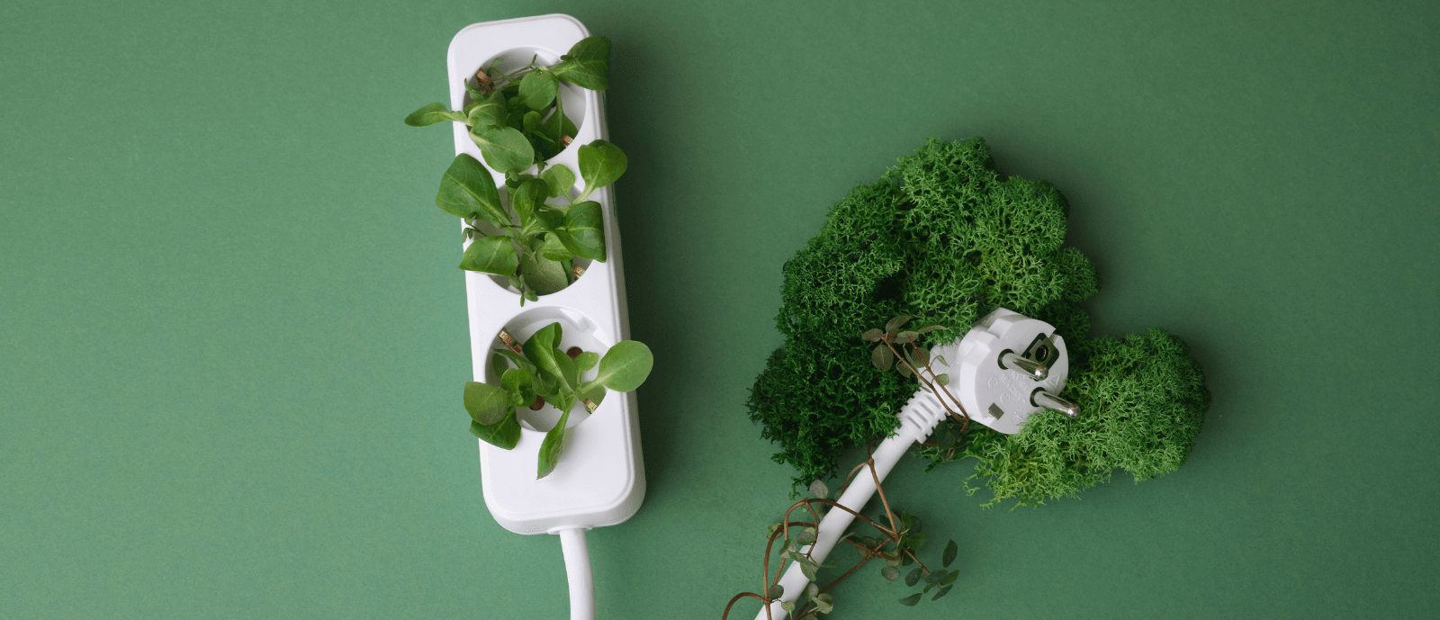 Energie verte