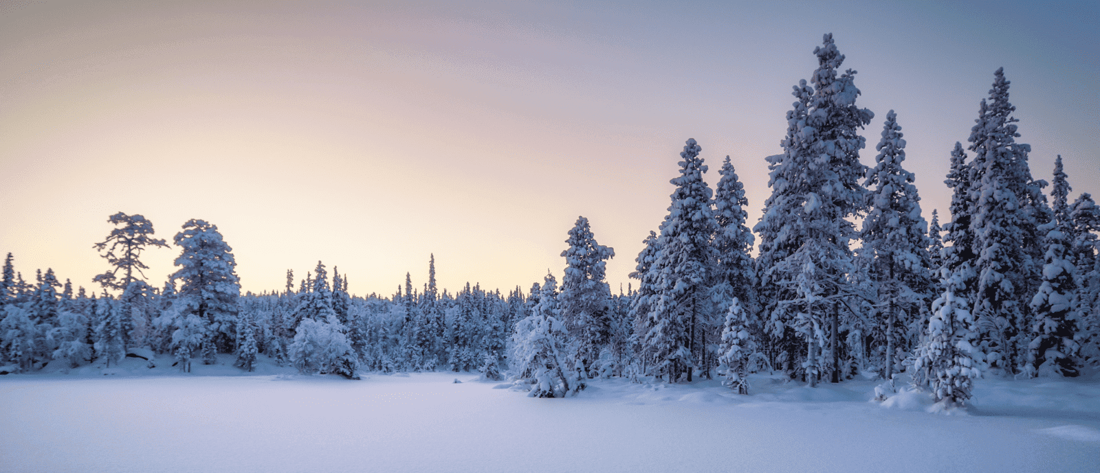 Neige